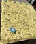 1980-90s vintage fabric. Shiny John Kaldor fabric 120cm by 137 cm Carousel 3