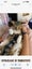 Simba & Narla free to a good home Carousel 4
