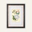 Newly Framed Botanical Print (1839) – Salpiglossis & Spiraea, Hand-Colored Carousel 1