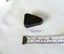 JEWELLERS ESTATE MUSEUM DARK KAURI AMBER/GUM LOVELY SPECIMEN ITEM. Carousel 7