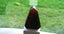 JEWELLERS ESTATE MUSEUM DARK KAURI AMBER/GUM LOVELY SPECIMEN ITEM. Carousel 4