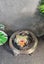 Black Onyx & Gemstone Globe with Compass & Silver-toned Stand. Carousel 4