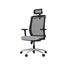 Loctek YZ202 Ergonomic Office Chair With Backrest and seat arm Carousel 6