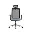 Loctek YZ202 Ergonomic Office Chair With Backrest and seat arm Carousel 8