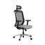 Loctek YZ202 Ergonomic Office Chair With Backrest and seat arm Carousel 9