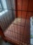 Rabbit Hutch Carousel 6