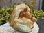 Tasman jade with diopside 3.9lb Carousel 3