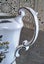 Royal Albert vintage coffee pot Carousel 6