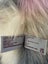 CHARLIEBEARS - BABY SISTER - Amazing As New Condition! Carousel 6