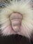 CHARLIEBEARS - BABY SISTER - Amazing As New Condition! Carousel 12