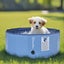 Charlie's Splash Society Portable Foldable Dog Pool 80x30cm Medium Carousel 1