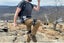 HYPERSHELL Exoskellton! Carousel 1