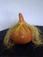 GOURD/HUE Carousel 1