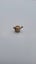 Victorian Fob hanger- Watering can Bloodstone Carousel 2
