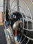 Parajet Paramotor Carousel 9