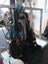 Parajet Paramotor Carousel 10