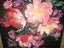 FLORAL TAPESTRY Carousel 1