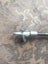 Antique shooting stick Carousel 3