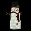 Christmas Lights 75 LED Strip Lighted Snowman Decorations Carousel 13