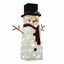 Christmas Lights 75 LED Strip Lighted Snowman Decorations Carousel 14