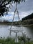 Cat Hammock Carousel 1