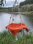 Cat Hammock Carousel 4