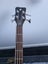 Warwick Rockbass Corvette Carousel 3
