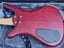 Warwick Rockbass Corvette Carousel 6