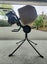 97cc petrol concrete mixer Carousel 1