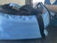 Cat carrier Carousel 4