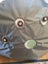 Soft Shell Hyperbaric Oxygen Chamber Carousel 6