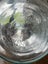 Large Vintage Carboy Demijohn Lab Bottle Carousel 4