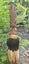 Maori Taonga Carved Weapons - Taiaha, Patu, Pouwhenua, Tewhatewha Carousel 3