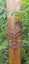 Maori Taonga Carved Weapons - Taiaha, Patu, Pouwhenua, Tewhatewha Carousel 7