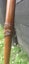 Maori Taonga Carved Weapons - Taiaha, Patu, Pouwhenua, Tewhatewha Carousel 10