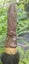 Maori Taonga Carved Weapons - Taiaha, Patu, Pouwhenua, Tewhatewha Carousel 2
