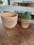 NZ MADE SPICE CANNISTERS AND HERB POTS Carousel 2
