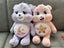 2 X Care Bears 32cm Soft Plush Toy Carousel 1