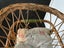Vintage doll and bassinet set Carousel 5