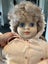 Vintage doll and bassinet set Carousel 3