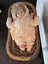 Vintage doll and bassinet set Carousel 2