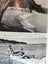 Coromandel Coast. By Eugene and Valerie Grayland Hardback (1965) 1st edition Carousel 12