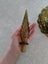 Vintage Italian Genie Bottle Carousel 9