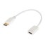 8ware DisplayPort DP to HDMI Male to Female Adapter Cable Carousel 1