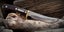 AWESOME U.S.A SCHRADE'S POPULAR CARBON STEEL 165 OLD TIMER FIXED BLADE. Carousel 15