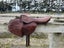 Antique Racing/Exercise Saddle Carousel 2