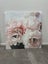 Brand new Canvas poster Carousel 1