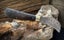 BIG BRUTE OF A PRUNER, CARBON STEEL BLADE, NICE WOOD HANDLES - WHO MADE THIS? Carousel 8