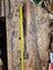 Large Japanese paring chisel Carousel 1