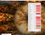 Asus Tuf Gaming RTX 3070 8GB (1) Carousel 5